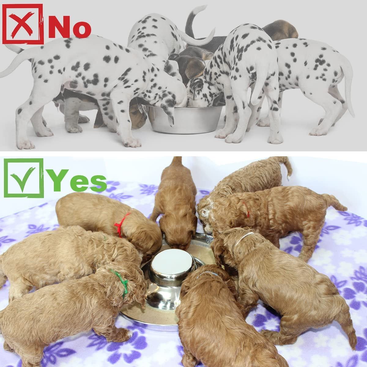 Stainless Steel Puppy Dog Bowls 2 Pack, Pets Puppies Feeding Food and Water Weaning Bowls Dishes Feeder, 10.3 Inch